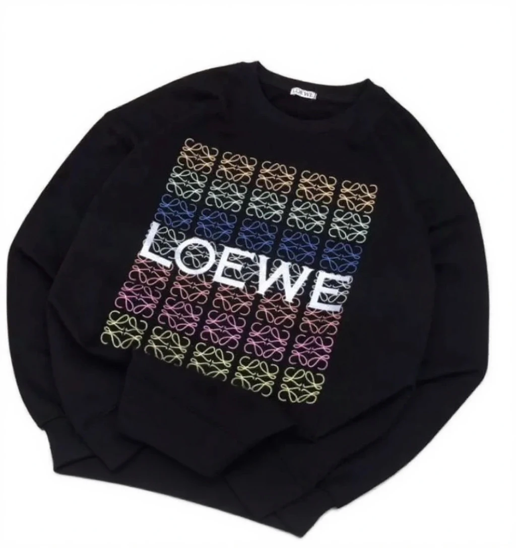 Hoodie Loewe Multicolor Logo