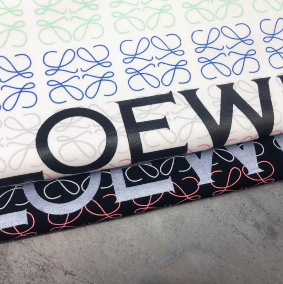 Hoodie Loewe Multicolor Logo