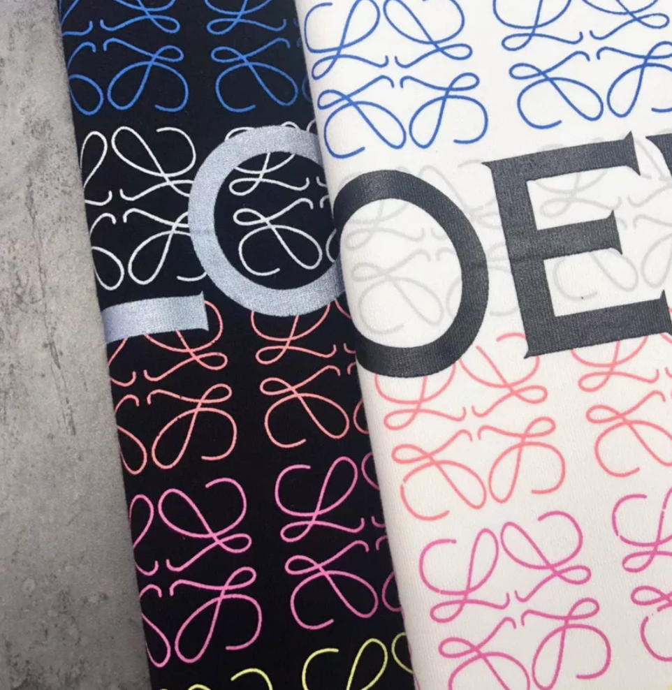 Hoodie Loewe Multicolor Logo